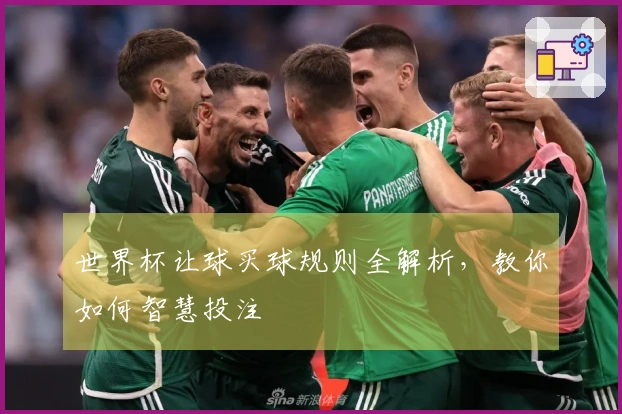 世界杯让球买球规则全解析，教你如何智慧投注