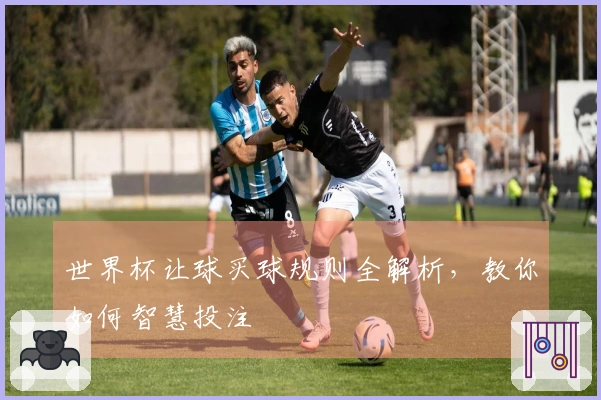 世界杯让球买球规则全解析，教你如何智慧投注
